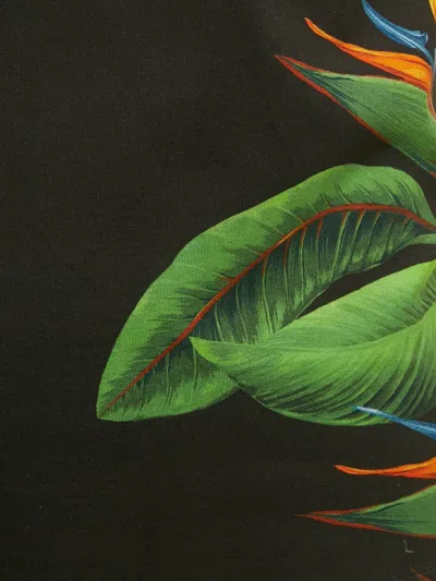 Pre-owned Dolce & Gabbana Bird Of Paradise-print T-shirt In Black