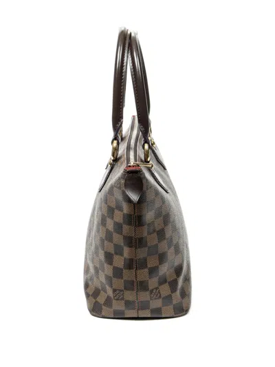 Pre-owned Louis Vuitton 2006 Saleya Pm Tote Bag In Brown