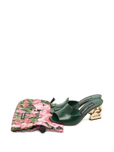 Pre-owned Dolce & Gabbana Keira Embossed-letter Dg-heel Sandals In Green