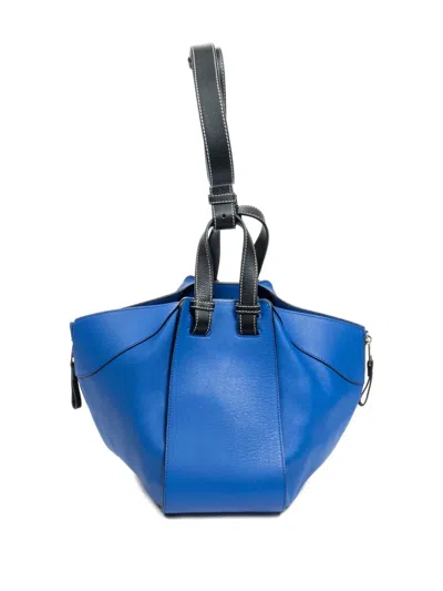 Pre-owned Loewe Can't Take It Shoulder Bag In Blue