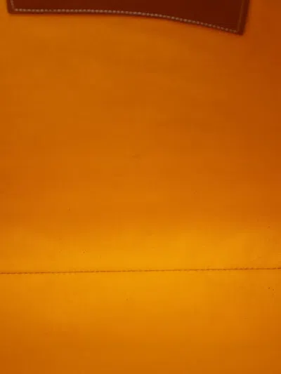 Pre-owned Goyard 2019 Ine Senat Gm Clutch Bag In Black