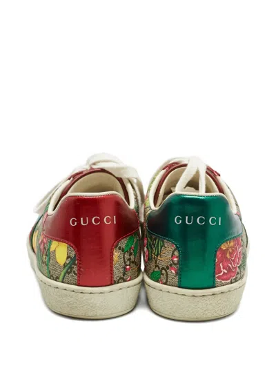 Pre-owned Gucci Canvas Floral-print Sneakers In Brown
