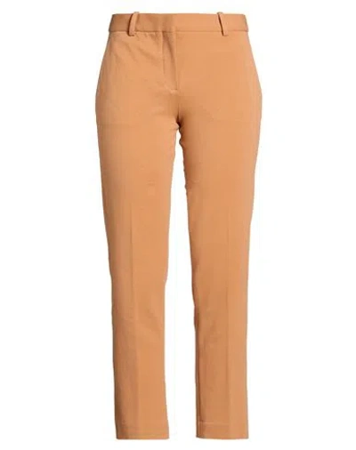 Circolo 1901 Woman Pants Camel Size 10 Cotton, Lycra In Brown