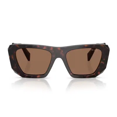 Prada Womens Pr B18s Square-frame Acetate Sunglasses Brown In Brown