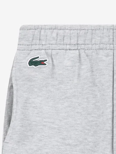 Lacoste Boys Logo Tracksuit In Gray