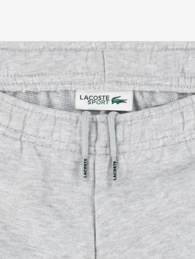 Lacoste Boys Logo Tracksuit In Gray
