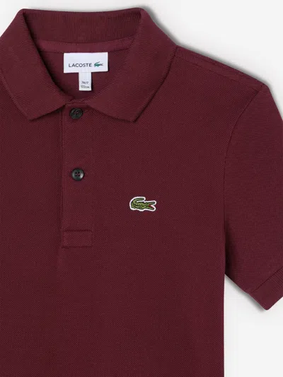 Lacoste Boys Pique Polo Shirt In Burgundy