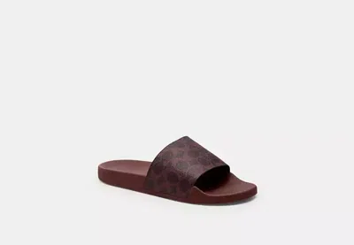 Coach Outlet Udele Sport Slide In Signature Canvas In Brown