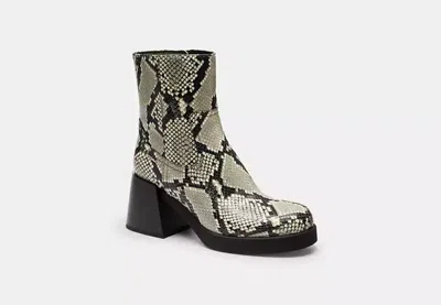 Coach Outlet Block Heel Boot With Snake Print In Animal Print