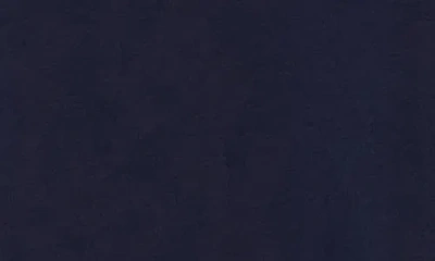 Eileen Fisher V-neck Long Sleeve Tunic In Blue