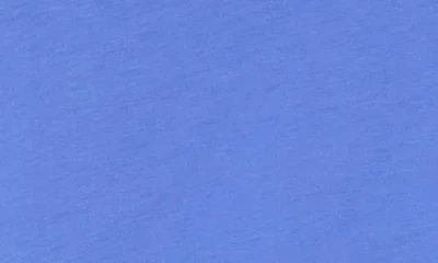 Eileen Fisher Organic Cotton Long Sleeve T-shirt In Blue