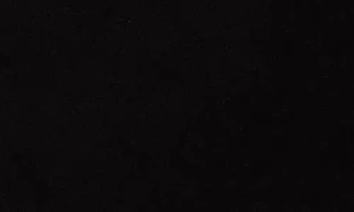 Renee C Long Sleeve Banded Hem Knit Top In Black