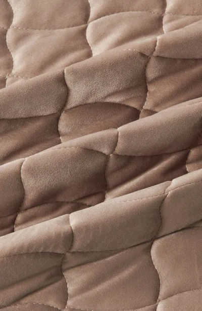 Woven & Weft Velvet Box Stitch Quilt Set In Brown