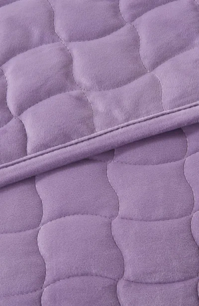 Woven & Weft Velvet Box Stitch Quilt Set In Purple