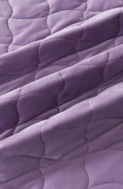 Woven & Weft Velvet Box Stitch Quilt Set In Purple