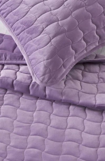 Woven & Weft Velvet Box Stitch Quilt Set In Purple
