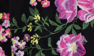 Siena Embroidered Mesh Midi Dress In Multi