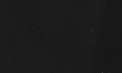 Lafayette 148 New York Crystal Embellished Wool & Silk Pencil Skirt In Black