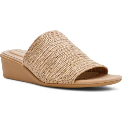 Anne Klein Wishful Wedge Slide Sandal In Brown