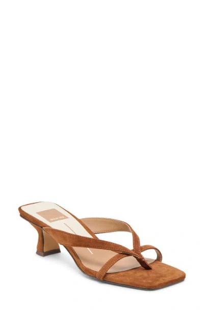 Dolce Vita Brevel Kitten Heel Flip Flop In Brown