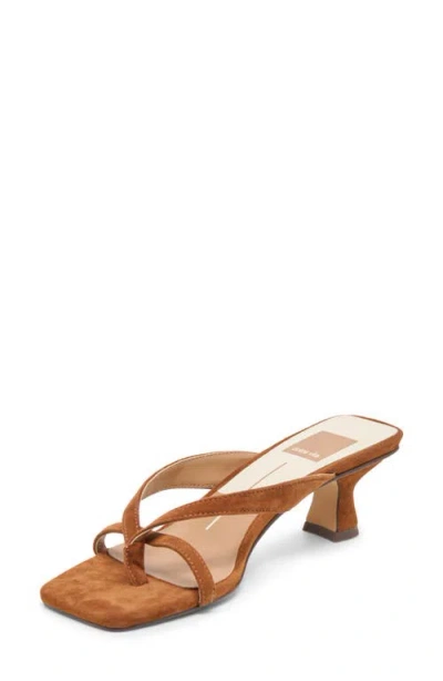 Dolce Vita Brevel Kitten Heel Flip Flop In Brown