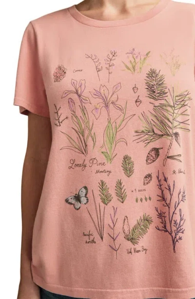 Lucky Brand Botanical Floral Cotton Graphic T-shirt In Pink