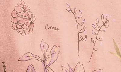 Lucky Brand Botanical Floral Cotton Graphic T-shirt In Pink