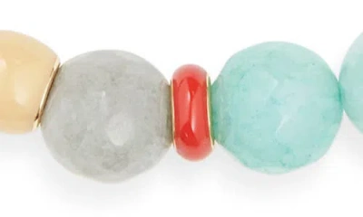 Roxanne Assoulin The Bright By Nature Necklace In Multi