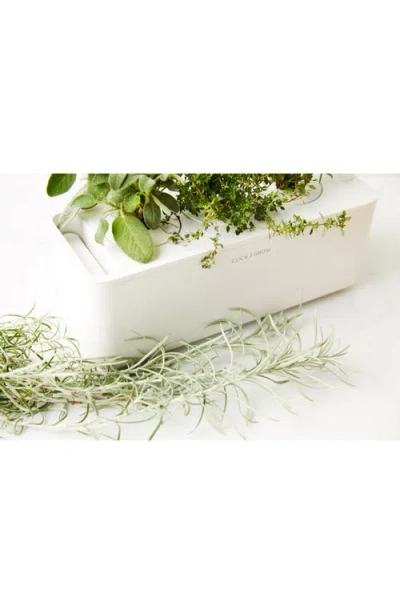 Click & Grow Smart Garden 3 Self Watering Indoor Garden In Green