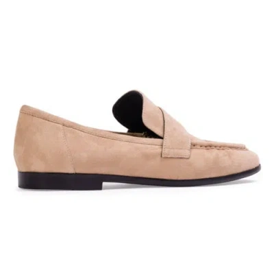 Black Suede Studio Arrow Suede Loafer In Brown