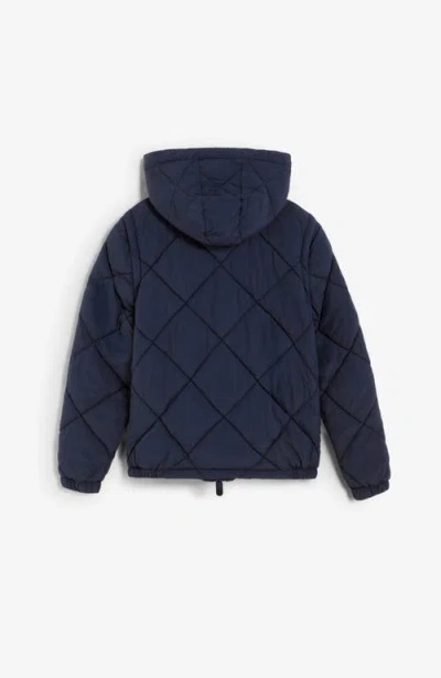 Scalpers Puffer Jacket Kids In Blue