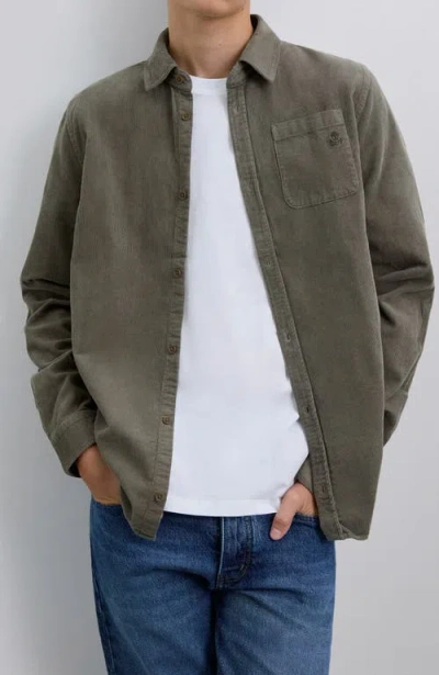 Scalpers Corduroyshirt Kids In Brown