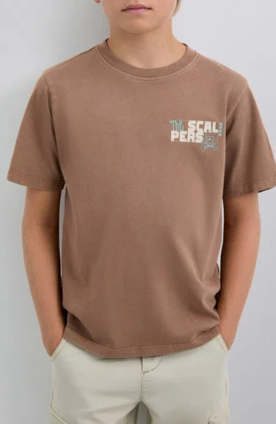 Scalpers Crewtee Kids In Brown