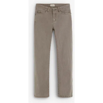 Scalpers Five Pockets Pants Kids In Brown