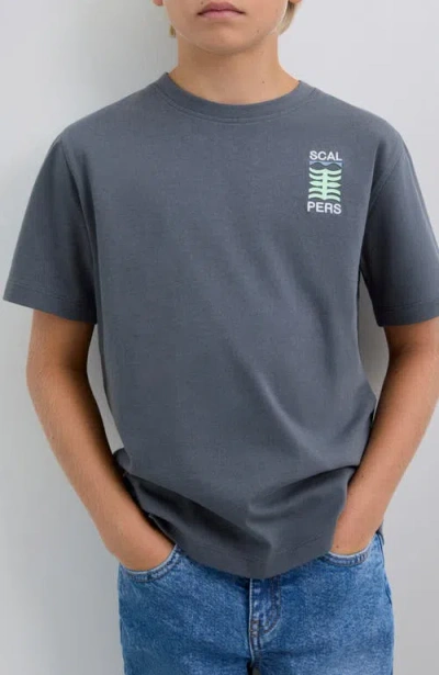 Scalpers Graphictee Kids In Gray