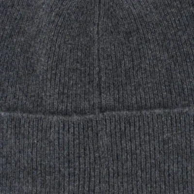 Trafalgar Camden Cashmere Solid Colored Micro Ribbed Beanie In Gray