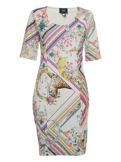 Pre-owned Cavalli Class Floral-print Striped Dress In Pink
