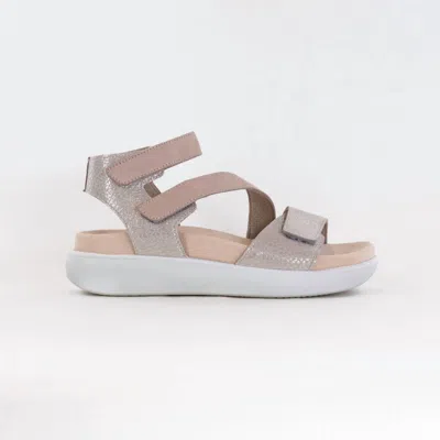 Romika Usa Women's Borneo 07 Sandal In Gold In Pink