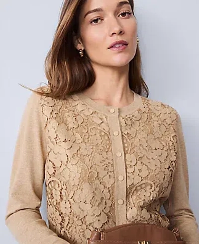 Ann Taylor Lace Ann Cardigan