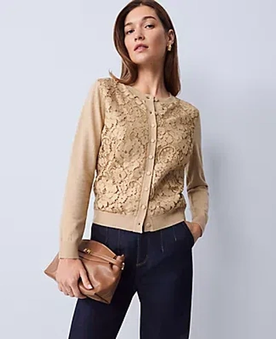 Ann Taylor Lace Ann Cardigan