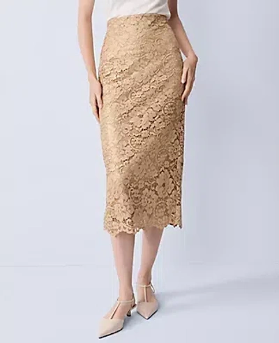 Ann Taylor Petite Lace Column Midi Skirt