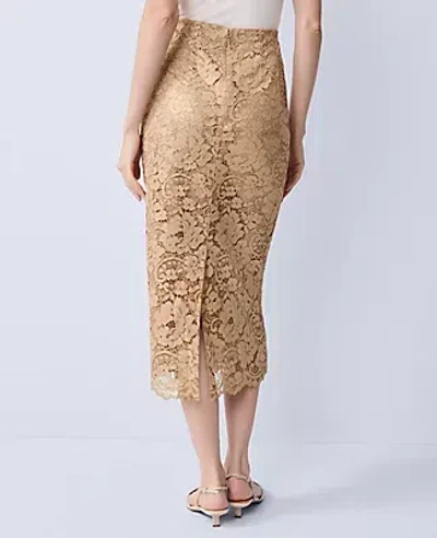 Ann Taylor Petite Lace Column Midi Skirt