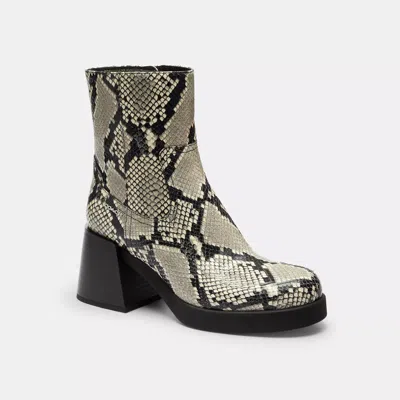 Coach Outlet Block Heel Boot With Snake Print In Animal Print