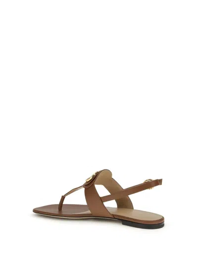 Valentino Brown Calf Leather Bos Taurus Flat Sandals In Brown