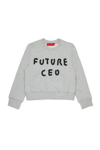 Max & Co Crew-neck Graphic-print Sweatshirt In Gray