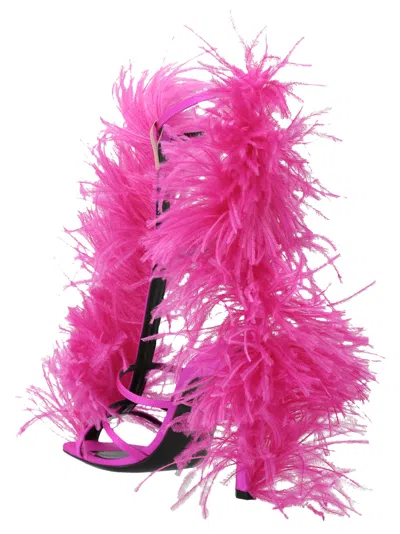 Sergio Rossi Fuchsia Amazona Heels In Pink