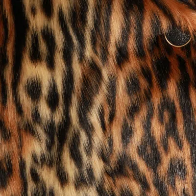 Roberto Cavalli Coats Light And Natural In Brown