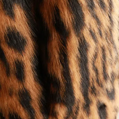 Roberto Cavalli Coats Light And Natural In Brown