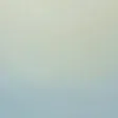 Hollister Velvet Fleur Perfume In Transparent