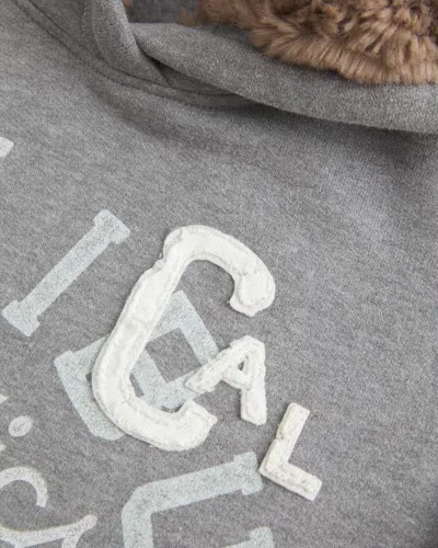 Hollister Faux Fur-lined Hood Graphic Hoodie In Gray